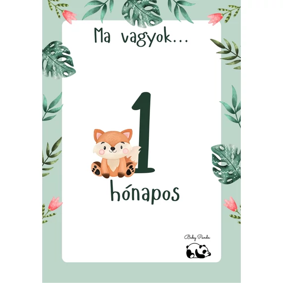 Egyedi Hónapkártya csomag - Állatkás - Fiús (Baby Panda kollekció)