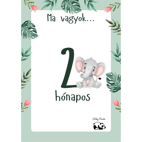 Egyedi Hónapkártya csomag - Állatkás - Fiús (Baby Panda kollekció)