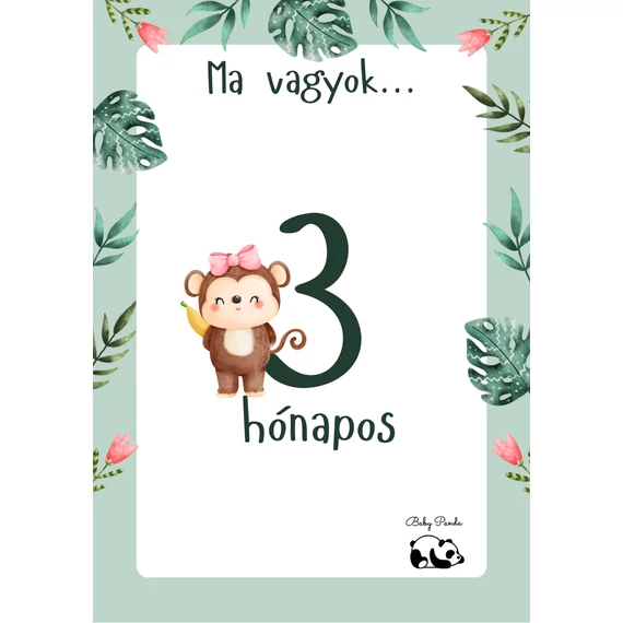 Egyedi Hónapkártya csomag - Állatkás - Fiús (Baby Panda kollekció)