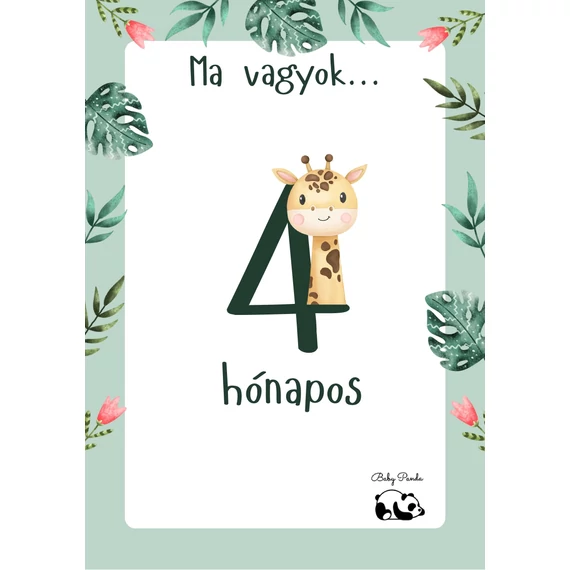 Egyedi Hónapkártya csomag - Állatkás - Fiús (Baby Panda kollekció)
