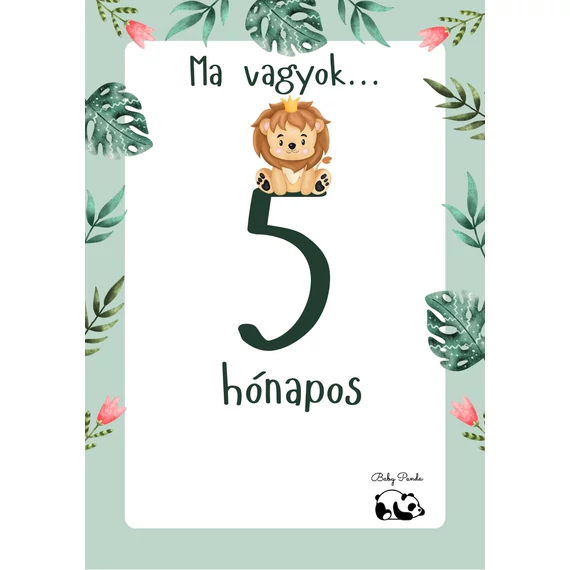 Egyedi Hónapkártya csomag - Állatkás - Fiús (Baby Panda kollekció)