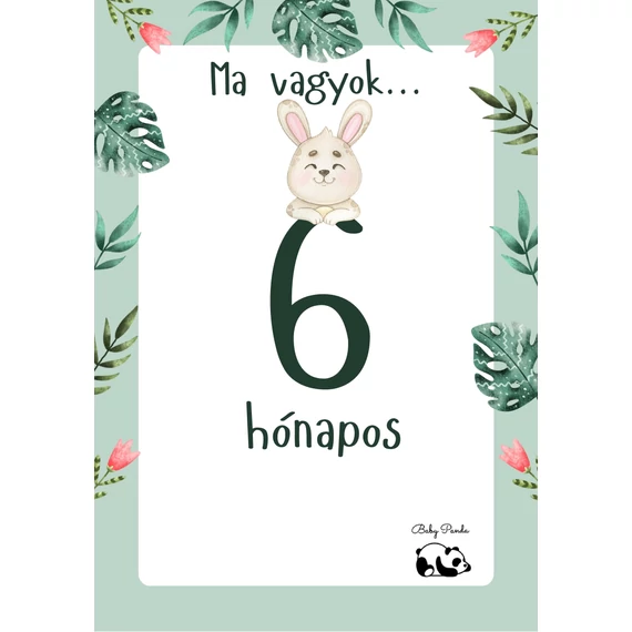 Egyedi Hónapkártya csomag - Állatkás - Fiús (Baby Panda kollekció)