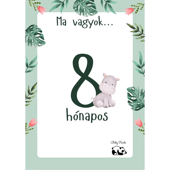 Egyedi Hónapkártya csomag - Állatkás - Fiús (Baby Panda kollekció)
