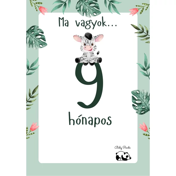 Egyedi Hónapkártya csomag - Állatkás - Fiús (Baby Panda kollekció)