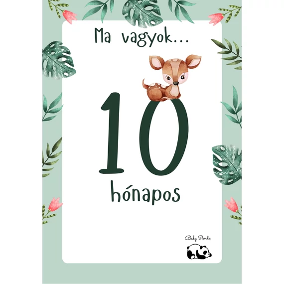 Egyedi Hónapkártya csomag - Állatkás - Fiús (Baby Panda kollekció)