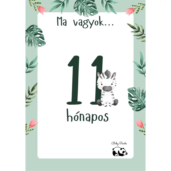 Egyedi Hónapkártya csomag - Állatkás - Fiús (Baby Panda kollekció)