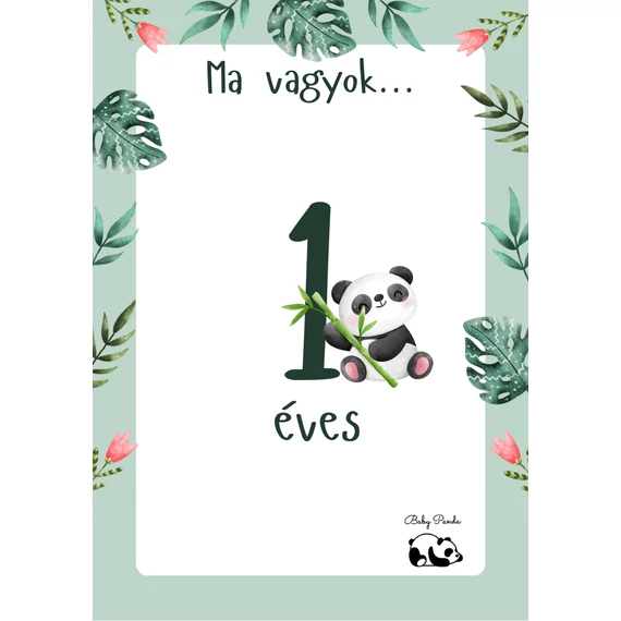 Egyedi Hónapkártya csomag - Állatkás - Fiús (Baby Panda kollekció)