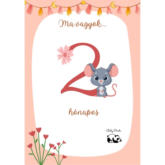 Egyedi Hónapkártya csomag - Állatkás - Lányos (Baby Panda kollekció)