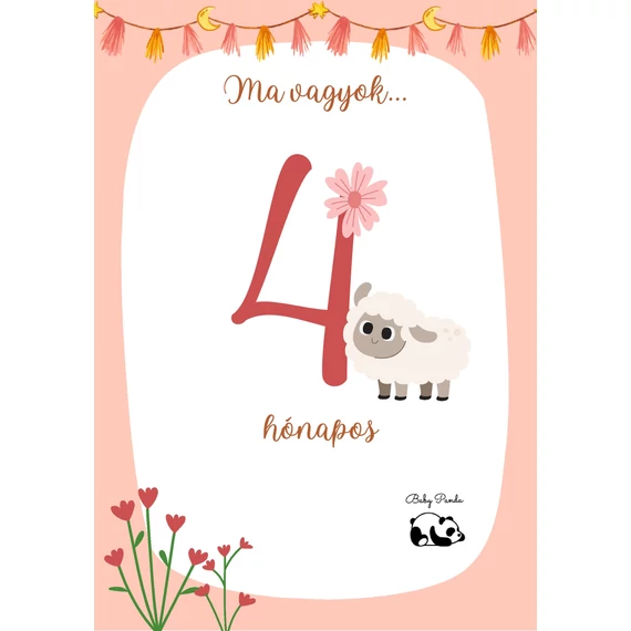 Egyedi Hónapkártya csomag - Állatkás - Lányos (Baby Panda kollekció)