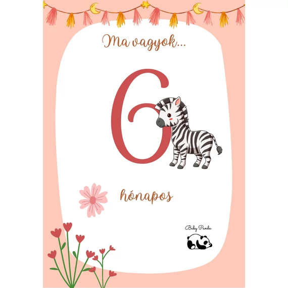 Egyedi Hónapkártya csomag - Állatkás - Lányos (Baby Panda kollekció)