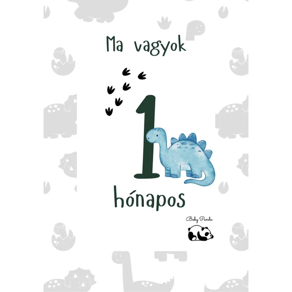  Egyedi Hónapkártya csomag -  Dínós (Baby Panda kollekció)