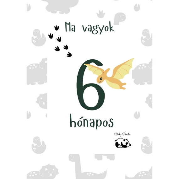  Egyedi Hónapkártya csomag -  Dínós (Baby Panda kollekció)